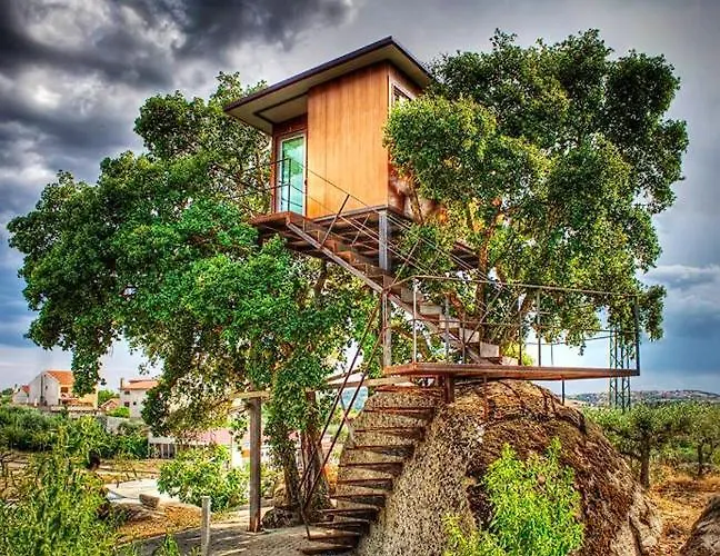 Comfortable Pinhel, Pool 別荘 *